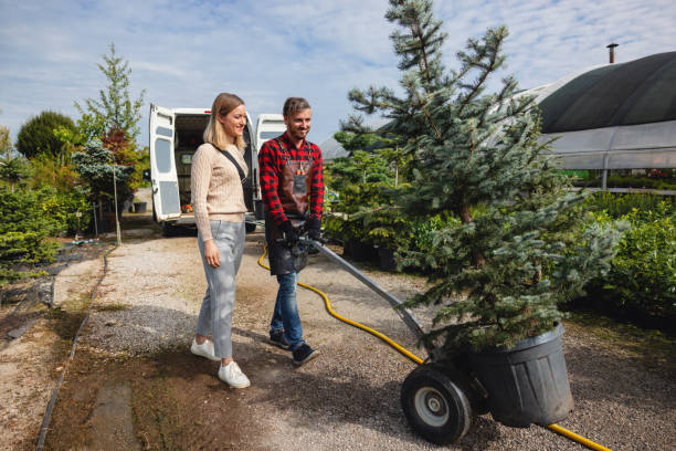 Bangor, PA Tree Care Services Company